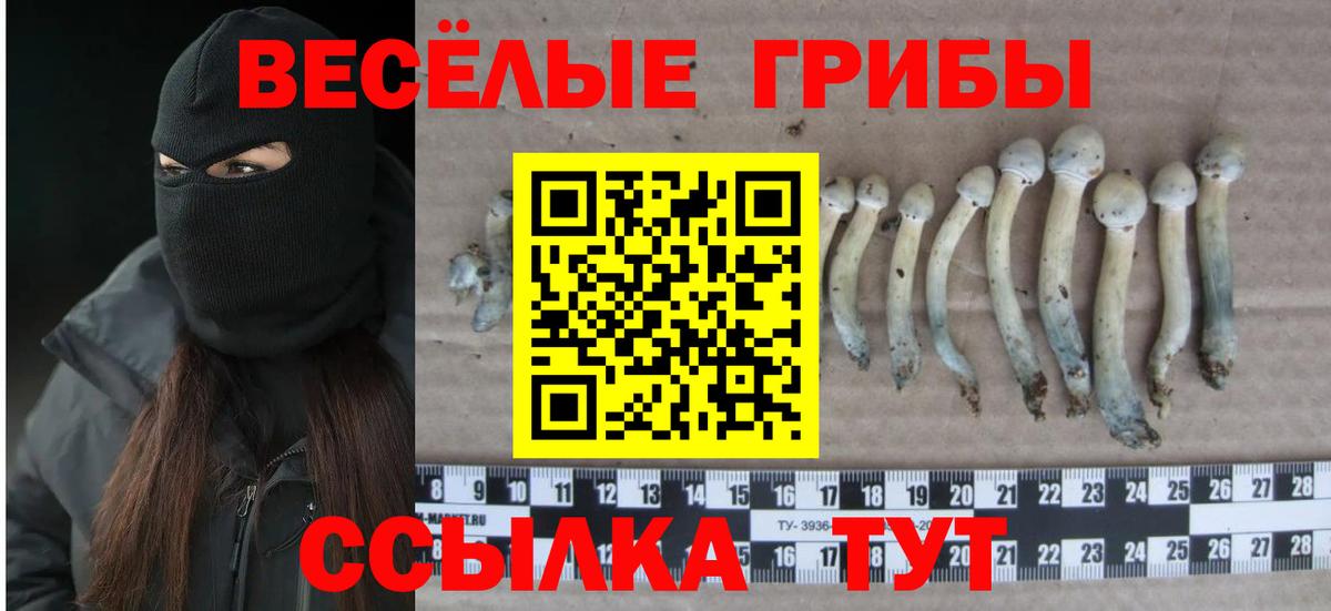 Псилоцибиновые грибы прущие грибы  Вход с VPN  где найти наркотики  Шали 